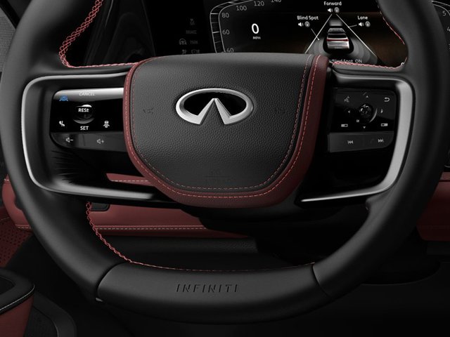 2025 Infiniti QX80 photo 14